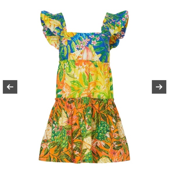 Farm Rio caipirinha sun dress size small - Picture 2 of 5